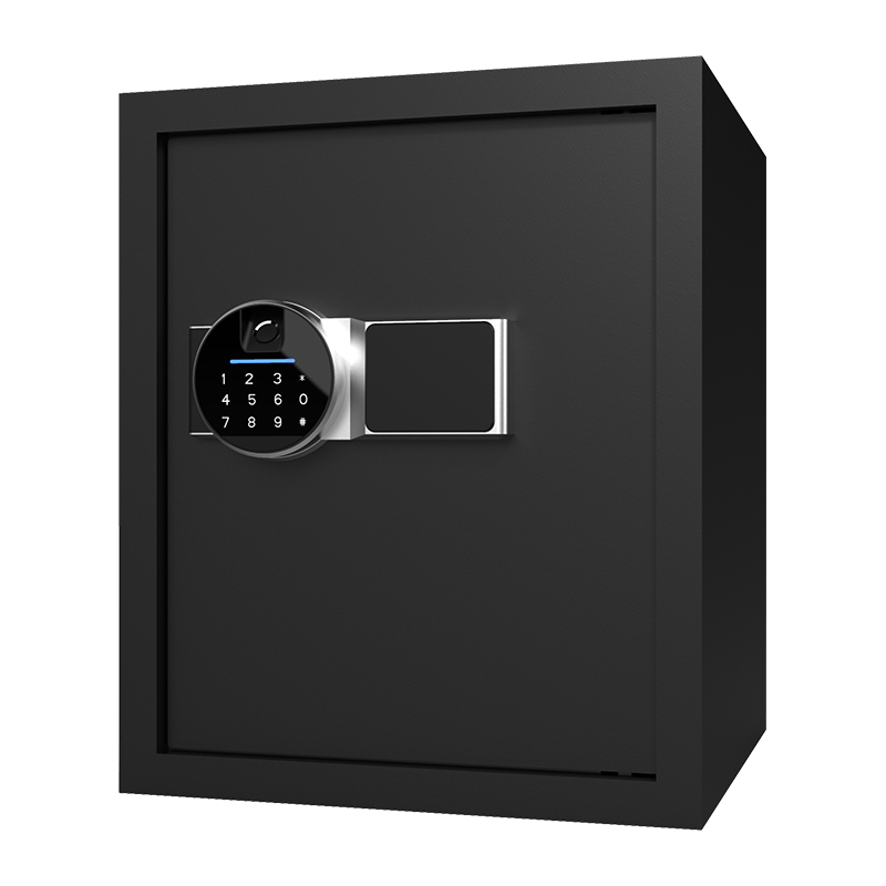 BS0142 40L Biyometrik Ev Kasası