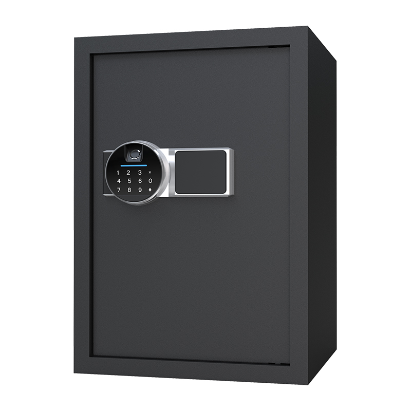 BS0150 48L Biyometrik Ev Kasası